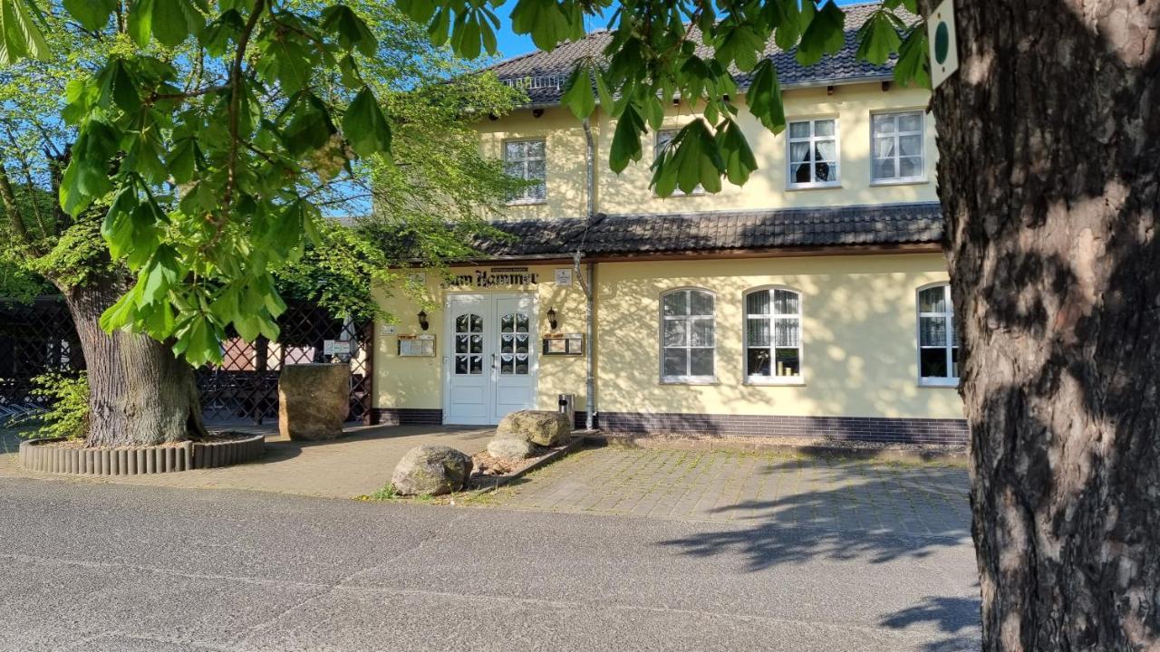 Wirtshaus & Pension "Zum Hammer" Neustadt  Luaran gambar